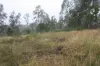 3, 3 Goyan Road, New Moonta, Qld 4671-Image