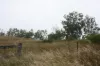 3, 3 Goyan Road, New Moonta, Qld 4671-Image