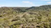 3, Nothdurft Rd, Doctor Creek, Qld 4352