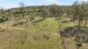 3, Nothdurft Rd, Doctor Creek, Qld 4352-Image