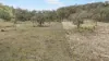 3, Nothdurft Rd, Doctor Creek, Qld 4352-Image