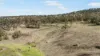 3, Nothdurft Rd, Doctor Creek, Qld 4352-Image