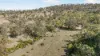 3, Nothdurft Rd, Doctor Creek, Qld 4352-Image