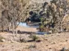 3240 Martins Well Road, Upalinna, SA 5434-Image