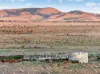 3240 Martins Well Road, Upalinna, SA 5434-Image