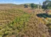 3240 Martins Well Road, Upalinna, SA 5434-Image