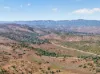 3240 Martins Well Road, Upalinna, SA 5434-Image
