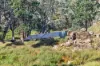 3240 Martins Well Road, Upalinna, SA 5434-Image