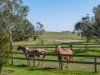 325 Prendergasts Lane, Pastoria, Vic 3444-Image