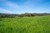 325 Prendergasts Lane, Pastoria, Vic 3444-Image