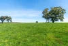 325 Prendergasts Lane, Pastoria, Vic 3444-Image