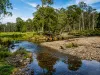 3259 Combienbar Road, Combienbar, Vic 3889-Image
