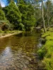3259 Combienbar Road, Combienbar, Vic 3889-Image