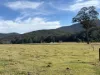 3259 Combienbar Road, Combienbar, Vic 3889-Image