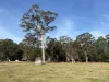 3259 Combienbar Road, Combienbar, Vic 3889-Image