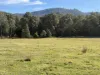 3259 Combienbar Road, Combienbar, Vic 3889-Image