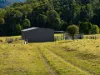 3259 Combienbar Road, Combienbar, Vic 3889-Image