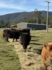3259 Combienbar Road, Combienbar, Vic 3889-Image
