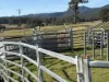 3259 Combienbar Road, Combienbar, Vic 3889-Image