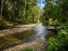 3259 Combienbar Road, Combienbar, Vic 3889-Image