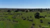 330 Beeac-Dreeite Road, Beeac, Vic 3251-Image