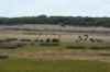 331 Boomaroo Park Road, Robe SA 5276-Image