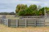 331 Boomaroo Park Road, Robe SA 5276-Image