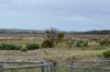 331 Boomaroo Park Road, Robe SA 5276-Image