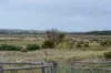 331 Boomaroo Park Road, Robe SA 5276-Image