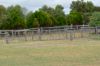 331 Boomaroo Park Road, Robe SA 5276-Image