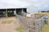 331 Boomaroo Park Road, Robe SA 5276-Image
