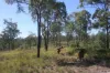 34, 469 Mineral Road, Rosedale, Qld 4674-Image