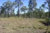 34, 469 Mineral Road, Rosedale, Qld 4674-Image