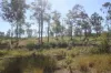 34, 469 Mineral Road, Rosedale, Qld 4674-Image