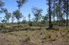 34, 469 Mineral Road, Rosedale, Qld 4674-Image