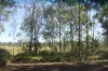 34, 469 Mineral Road, Rosedale, Qld 4674-Image