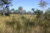 34, 469 Mineral Road, Rosedale, Qld 4674-Image