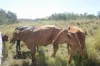 34, 469 Mineral Road, Rosedale, Qld 4674-Image