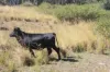34, 469 Mineral Road, Rosedale, Qld 4674-Image