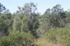 34, 469 Mineral Road, Rosedale, Qld 4674-Image