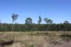 34, 469 Mineral Road, Rosedale, Qld 4674-Image