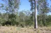 34, 469 Mineral Road, Rosedale, Qld 4674-Image