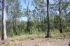 34, 469 Mineral Road, Rosedale, Qld 4674-Image