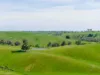 362 Watchbox Road, Barfold, Vic 3444
