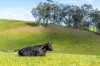 362 Watchbox Road, Barfold, Vic 3444-Image