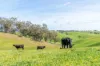 362 Watchbox Road, Barfold, Vic 3444-Image