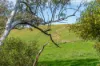 362 Watchbox Road, Barfold, Vic 3444-Image