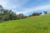 362 Watchbox Road, Barfold, Vic 3444-Image