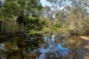 362 Watchbox Road, Barfold, Vic 3444-Image