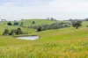 362 Watchbox Road, Barfold, Vic 3444-Image
